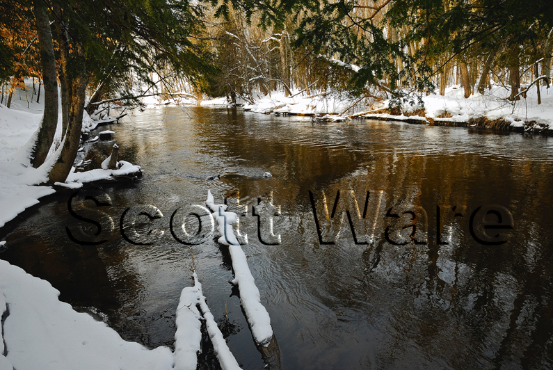 Bear Creek Early Morning