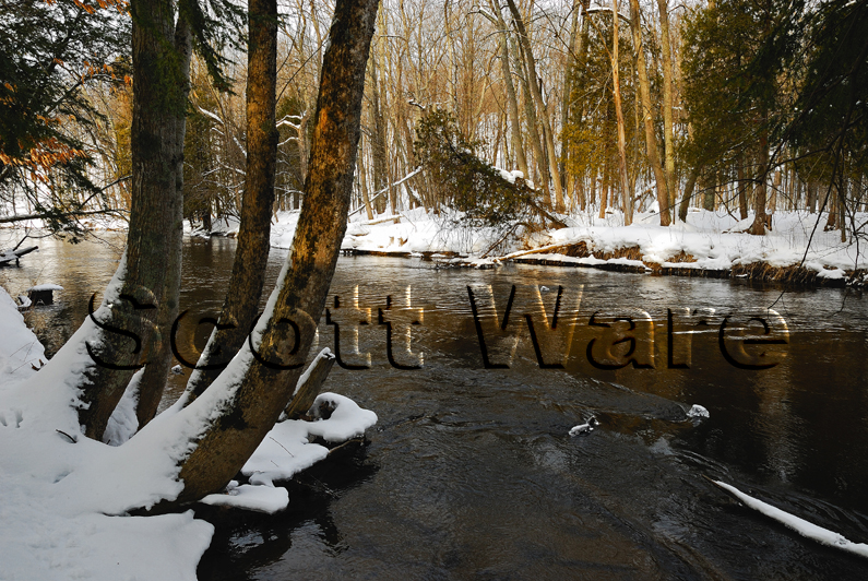 Bear Creek, Early Morning
