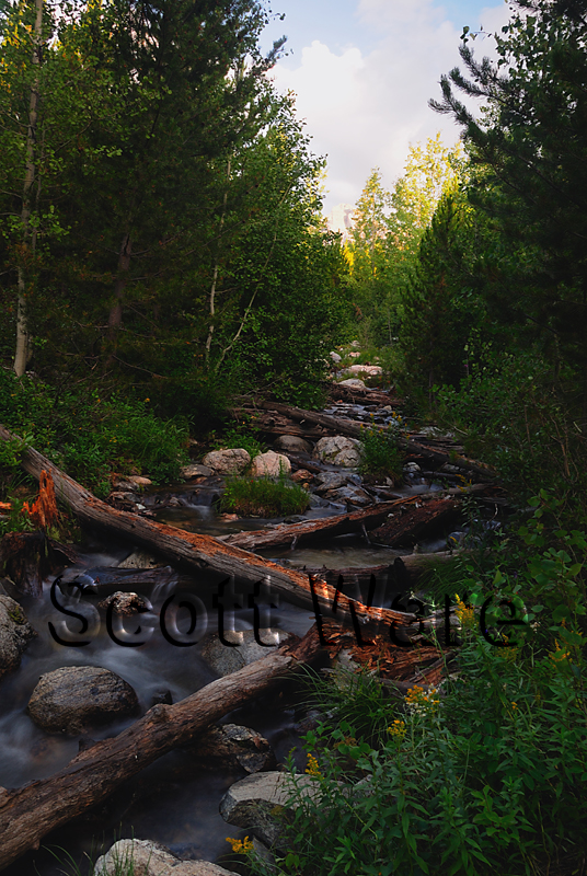 Teton Creek
