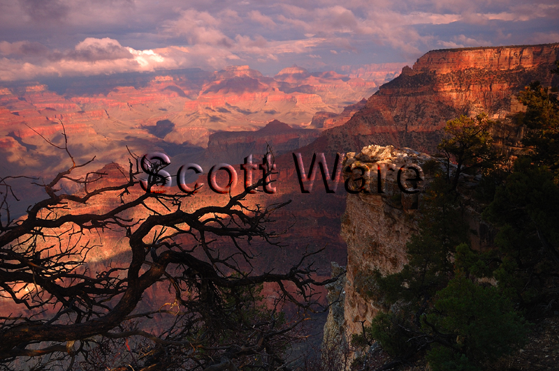 Grand Canyon