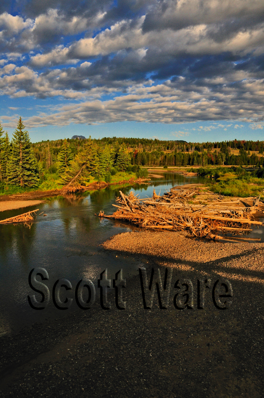 Snake River at Moran