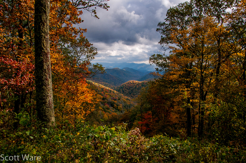 Smoky Mountains