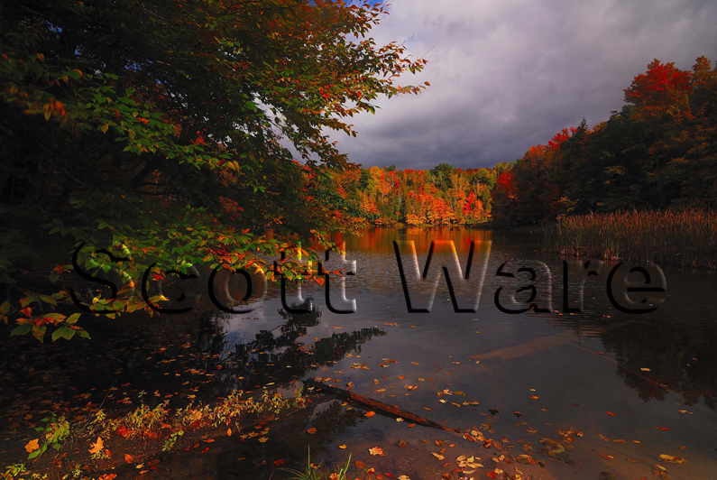 Manistee River, Red Bridge