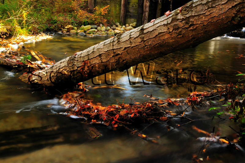 Slagle Creek, Michigan