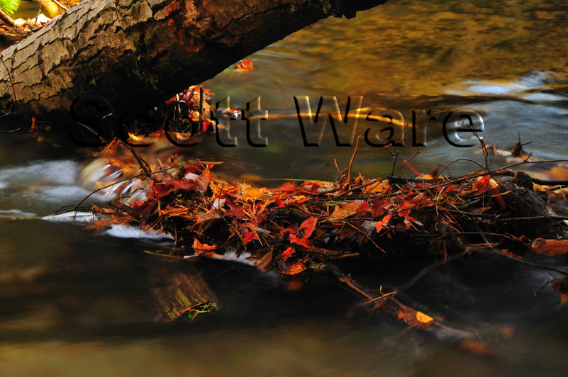 Slagle Creek