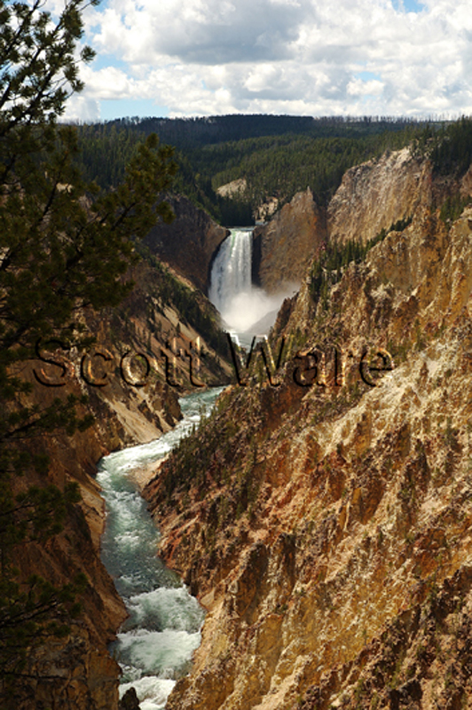 Yellowstone