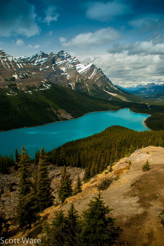 Peyto Lake
