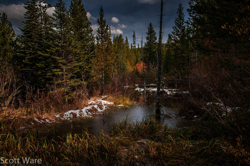 Alberta Falls
