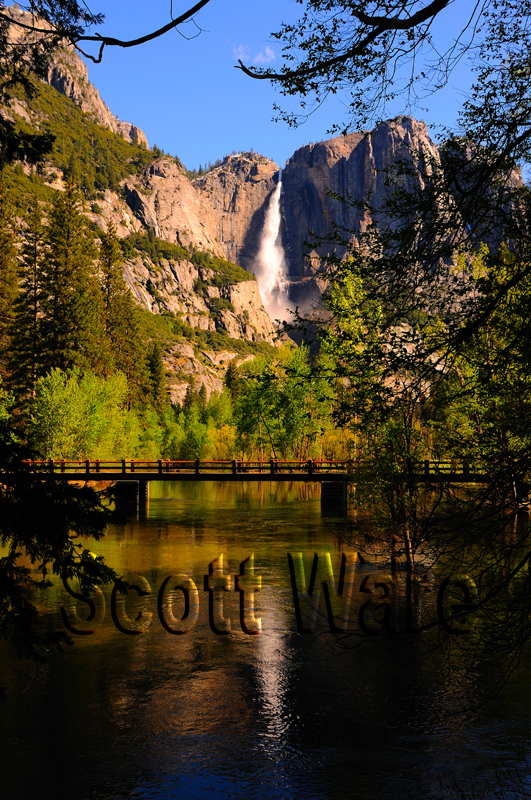 Swinging Bridge